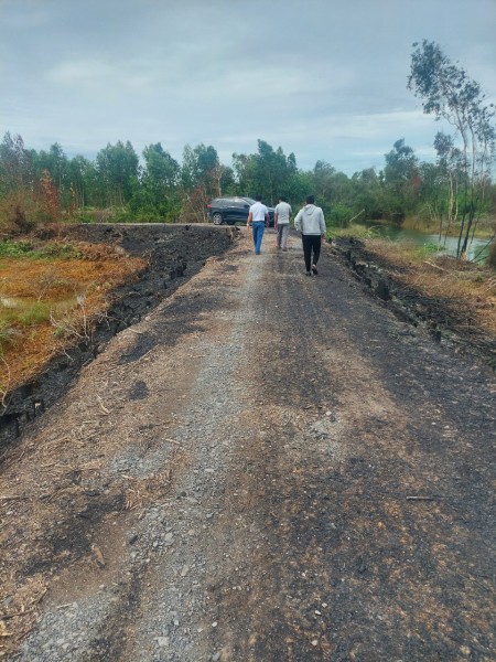 Đi đến slide 11