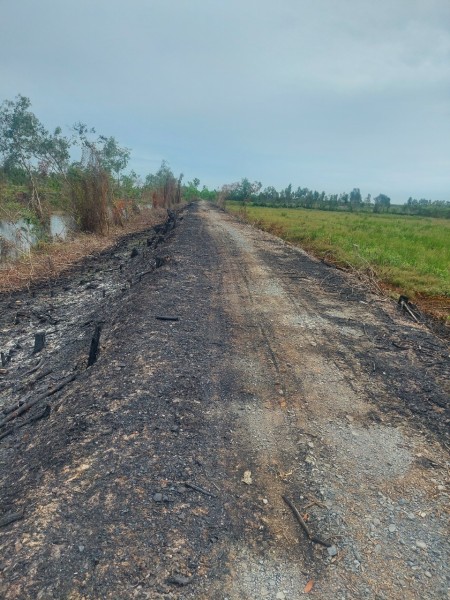 Đi đến slide 9