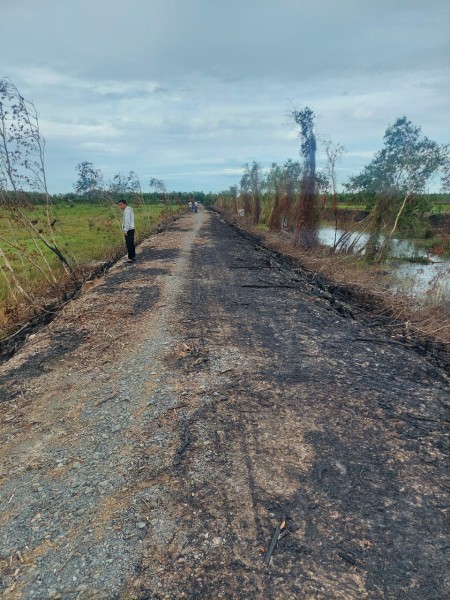 Đi đến slide 7