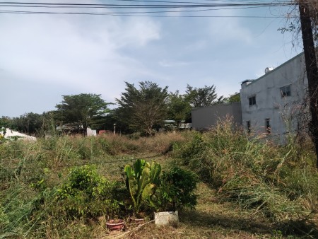 Đi đến slide 7