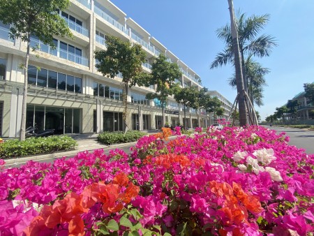 Đi đến slide 7