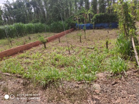 Bán đất xã Xuân Sơn, huyện Châu Đức, Bà Rịa - Vũng Tàu, diện tích 8x20m