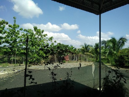 Đi đến slide 9