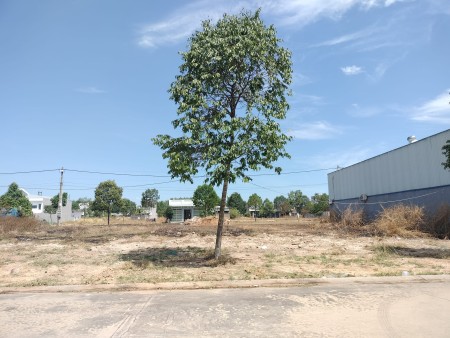 Cần tiền bán gấp lô đất 300m2 1tỷ4, mt đường 16m, gần chợ, trường ĐH. 100% thổ cư