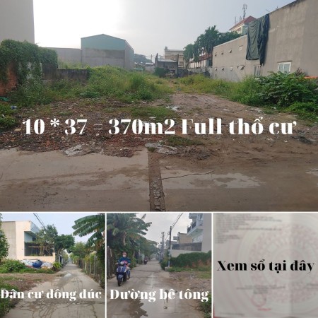 Bán đất chính chủ 300m2 thổ cư, ngay thị trấn Gò Dầu