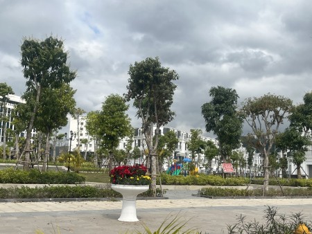 Đi đến slide 2