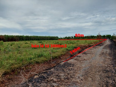 Bán đất 3200m2 đất lúa đường đá xanh 14m, được chuyển thổ, 350TR/1000m2