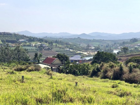 Đi đến slide 7