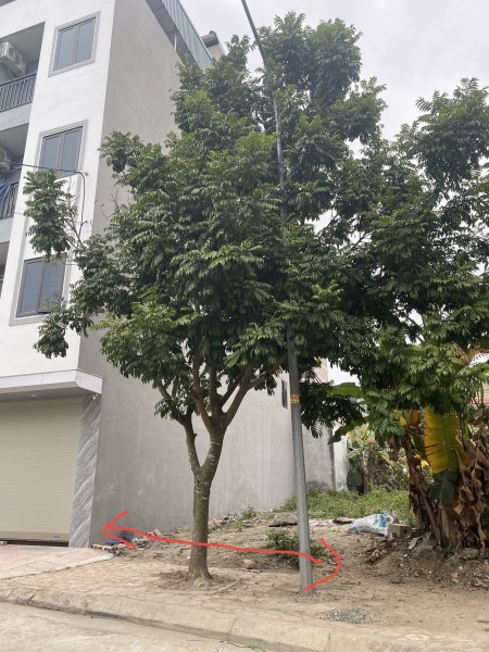 Gia đình chuyển vào Nam sinh sống cần bán mảnh đất Hà Nội, dt 75m, giá 1,3 tỷ