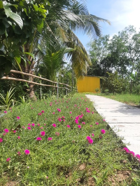 Đi đến slide 6
