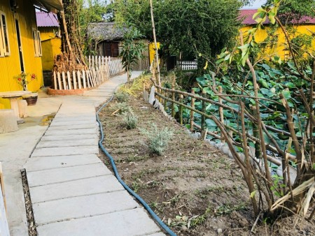 Cho thuê nha trọ, Nhà ở sân vườn, veiw ao sen cực chill như homestay ở gần bến xe bus Hưng Long