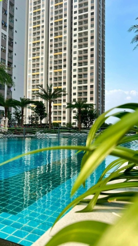 Chính chủ cho thuê căn hộ Q7 Reverside nhà đẹp, full nội thất, giá 12,5 triệu