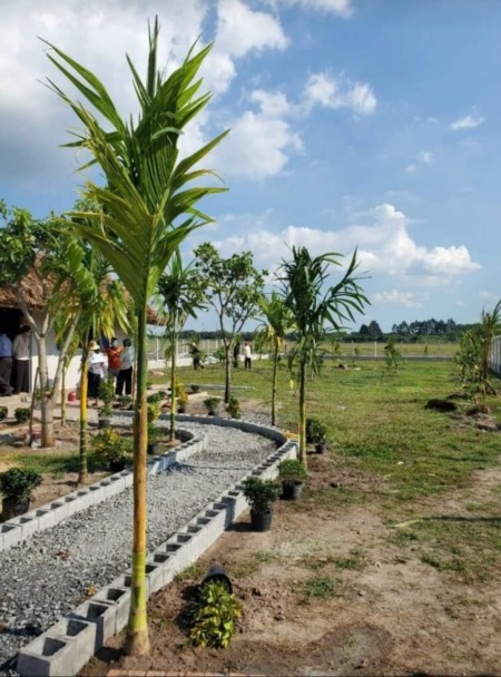 Đi đến slide 5