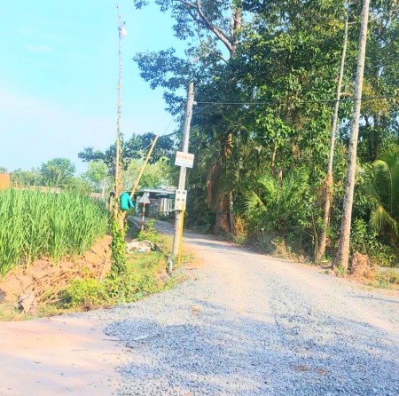 Bán đất đẹp giá đầu tư lợi nhuận cao gần KCN Hiệp Thạnh Gò Dầu Tây Ninh