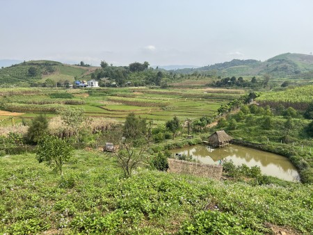 Đi đến slide 3