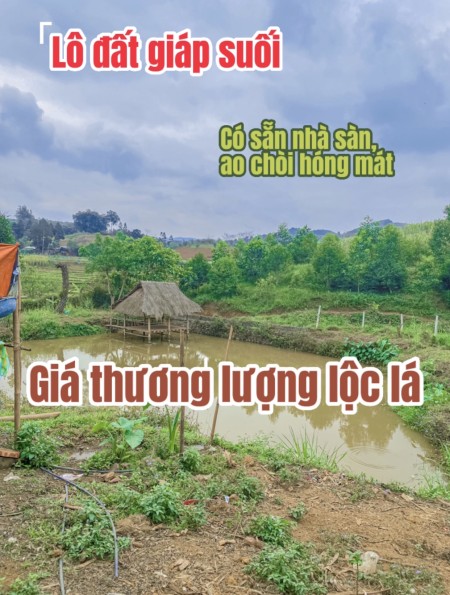 Đi đến slide 6