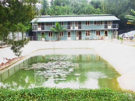 Đi đến slide 6