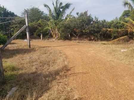 Đi đến slide 10