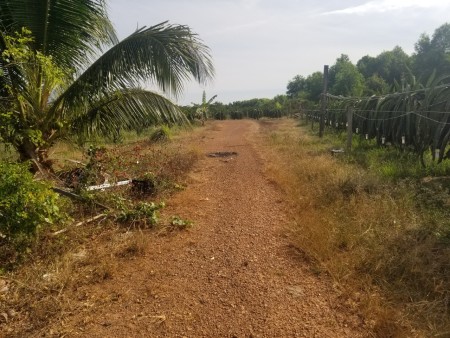 Đi đến slide 8