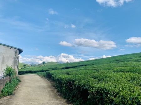 Đi đến slide 7