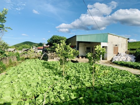 Cần tiền bán đất cắt lỗ tại Mộc Châu View siêu đep.