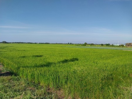 Đi đến slide 7