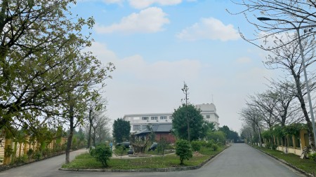 Đi đến slide 6