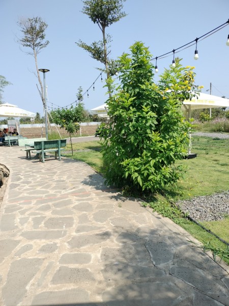 Đi đến slide 2