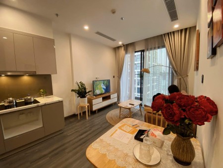 Nhanh tay sở hữu căn hộ khu Ruby cao cấp 1N1Wc giá 1,73 tỷ tại Vinhomes Ocean Park