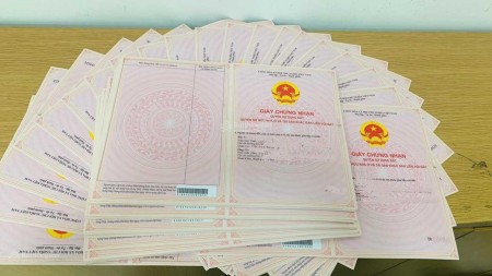 Đi đến slide 8