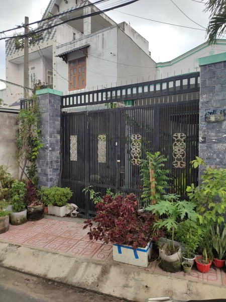 Cho thuê nhà nguyên căn rộng 156m2 ngay mặt tiền đường nhựa 10m Tân Hiệp 31-Hóc Môn
