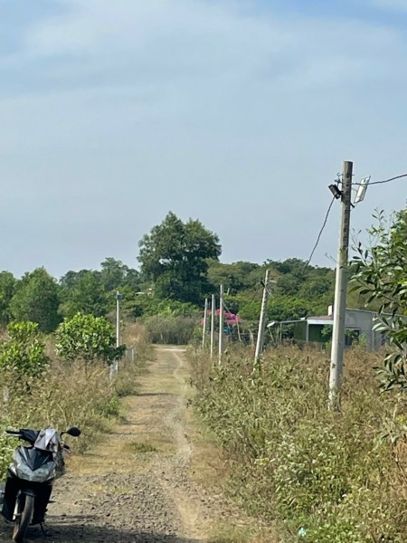 Cần bán gấp mảnh đất phủ hồng tại suối nho cách nhựa Nagoa 100m gần nhà thờ trường học gần chợ dân