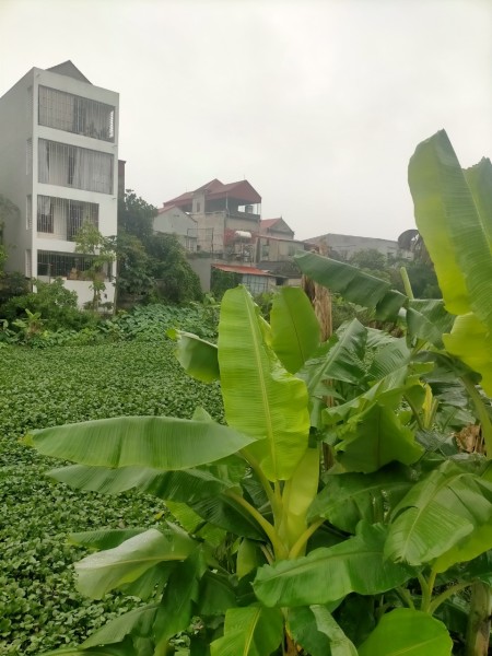 bán đất ở đô thị vị trí viu đẹp