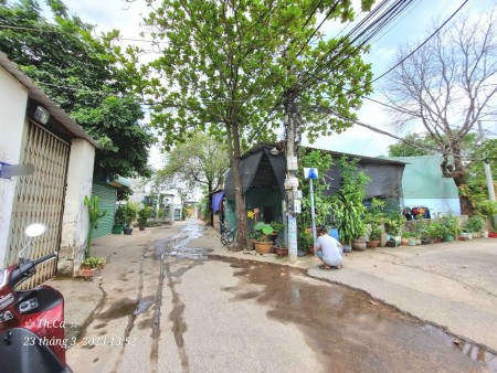 Đi đến slide 8