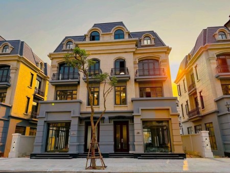 Siêu phẩm cá mập: 102 có một không hai Biệt thự siêu phẩm giá rẻ nhất cho ĐẠI GIA