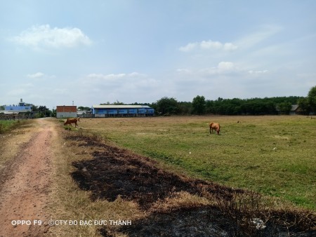 Bán đất Trung An, Củ Chi. Thổ cư sổ riêng
