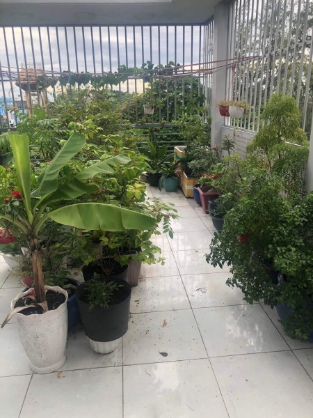 Bán nhà đẹp An Lạc, Bình Tân - Giá rẻ - Diện tích lớn - Vị Trí đắt địa