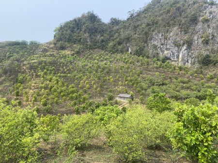 Đi đến slide 8
