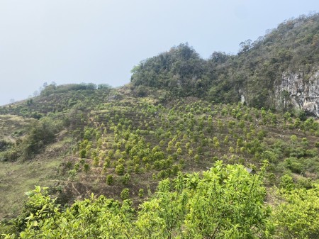 Đi đến slide 6