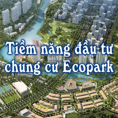 Ảnh bài viết: Đầu tư căn hộ chung cư khu đô thị Ecopark Hưng Yên có tiềm năng gì?