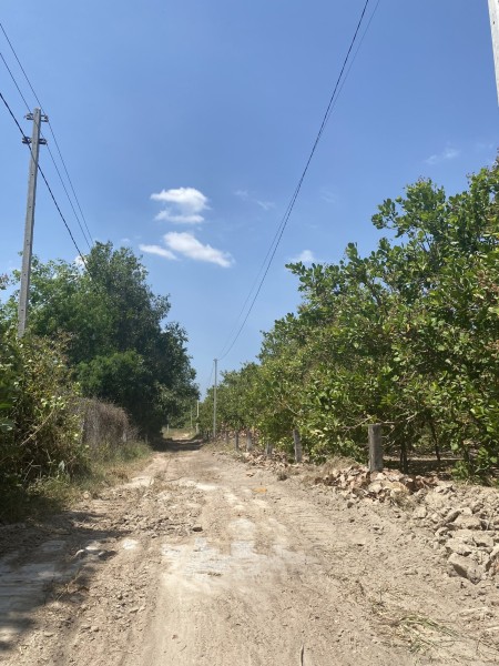 Đi đến slide 7