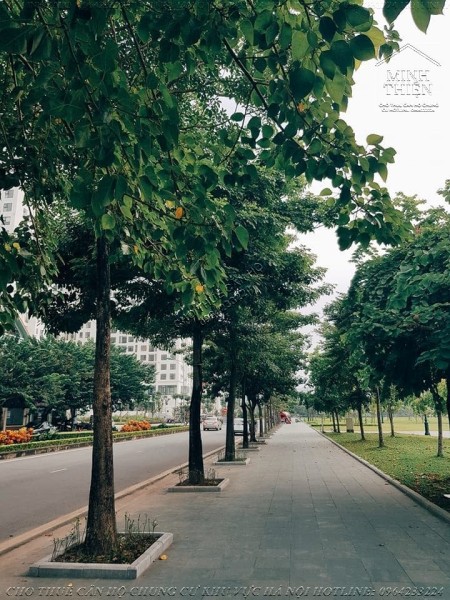Đi đến slide 9