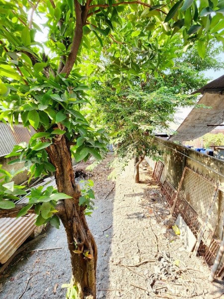 Cần tiền hạ giá bán gấp lô biệt thự P. Thống Nhất Biên Hoà Chỉ ~ 31tr/1m2