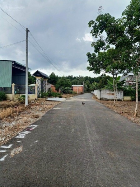 Bán đất ngay KCN 10x50m có 200m2 thổ cư đường nhựa 29m