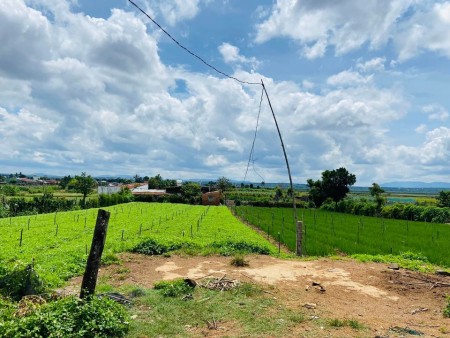 Đi đến slide 9