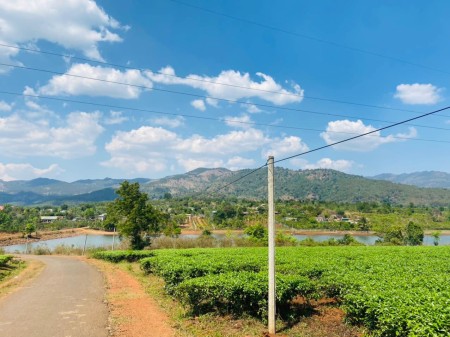 Đi đến slide 8