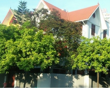 Bán biệt thự, Giảng Võ, Diện tích 160m2, 4 tầng, MT8m, 37 tỷ, LH 0354810072