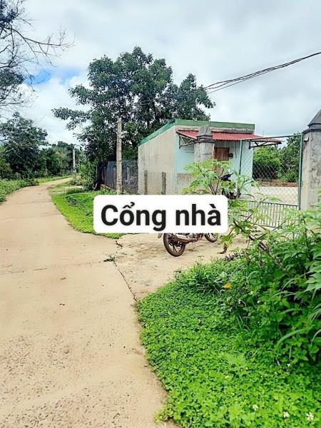 Đi đến slide 10