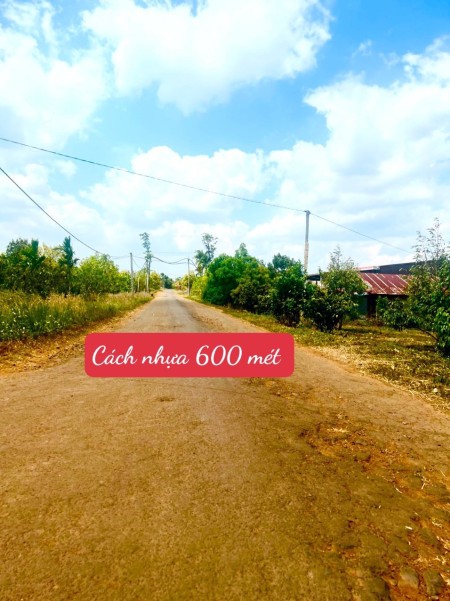 Bán đất giá rẻ full sổ hồng đã đăng kí lên TC.Tại xã Ea Dăh -Krông Năng - Daklak