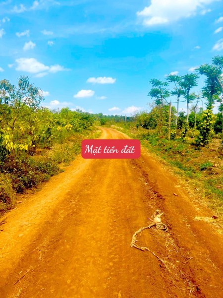 Đi đến slide 7